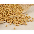 Organic Soybean Soybean 25KG Supplier